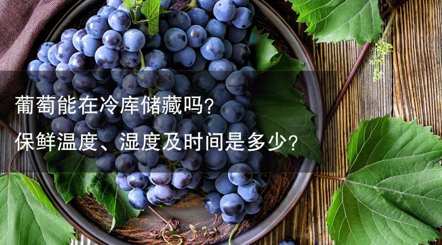 葡萄能在冷庫(kù)儲(chǔ)藏嗎？ 保鮮溫度、濕度及時(shí)間是多少？